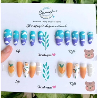Nailbox thiết kế