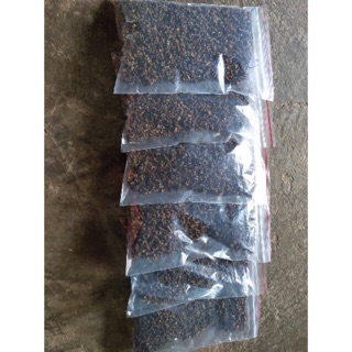 Hạt thì là 200g - 500g