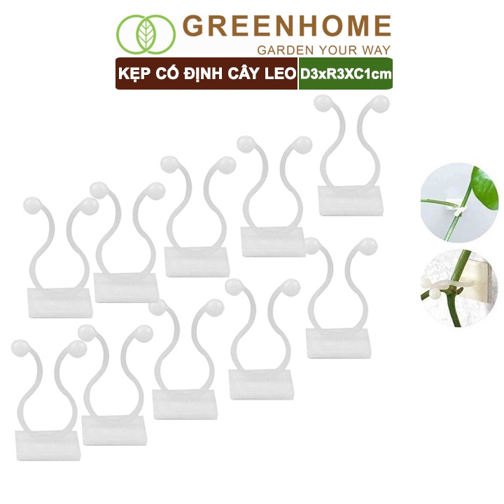 10 Kẹp cố định cây dây leo Greenhome, D3xR3cm, gắn tường tiện lợi, dễ dàng lắp đặt, tiết kiệm không gian