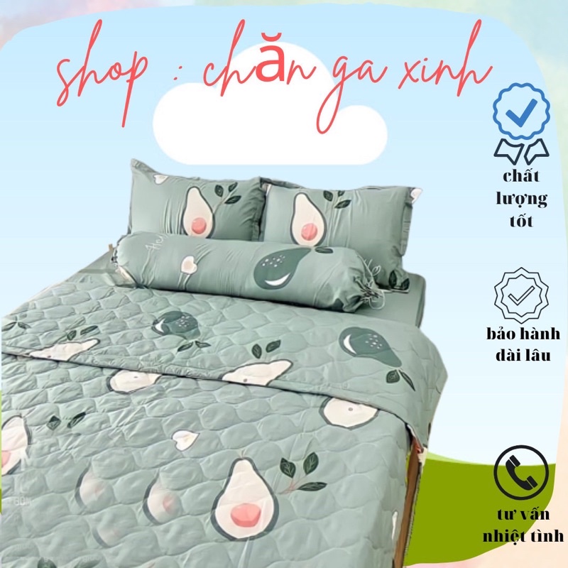 Bộ chăn ga và vỏ gối hè thu gọn nhẹ , Mền Ga Gối Poly cotton chần bông 3 lớp | BigBuy360 - bigbuy360.vn