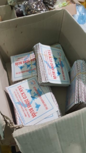 Keo siêu dính ruồi