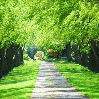 phụ kiện zin-247