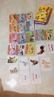 Combo 2bộ thẻ tranh plascard