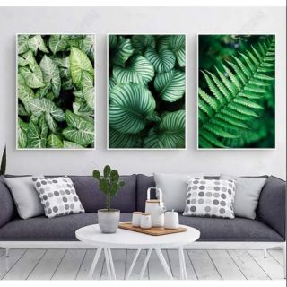 Tranh canvas lá nhiệt đới kèm khung 40x60 bộ 3 tranh
