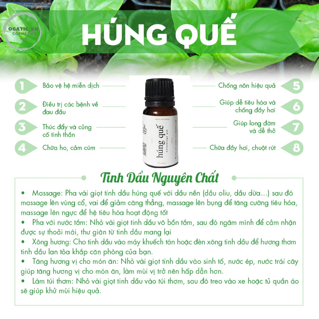 Tinh dầu húng quế Ogatic_vn nguyên chất 10ml | Basil-Essential-Oil