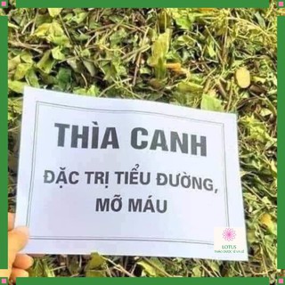 Dây thìa canh 1 kg hàng xịn chuẩn