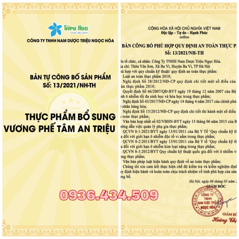 Vương Phế Tâm An Triệu Hoà