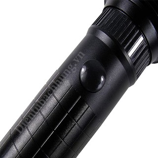 Đèn pin cầm tay Wasing WFL-H2