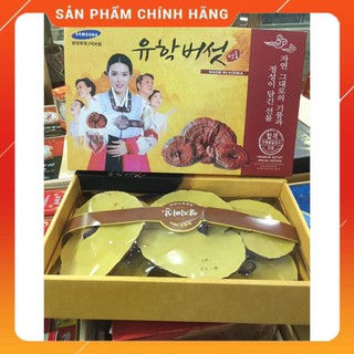 Nấm Linh Chi Hàn Quốc Hộp Cô Gái, Nấm Vàng Chanh 1kg