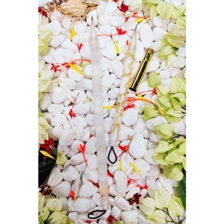 Cọ Mộc Lan Hoa Lệnh [Bút Ý Hiên] (có sẵn)