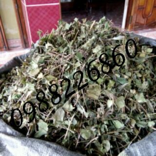 Chè vằng khô
