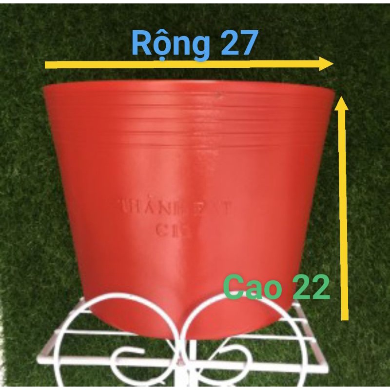 Chậu nhựa đỏ C11 trồng Hoa Tết hiệu Quốc Huy