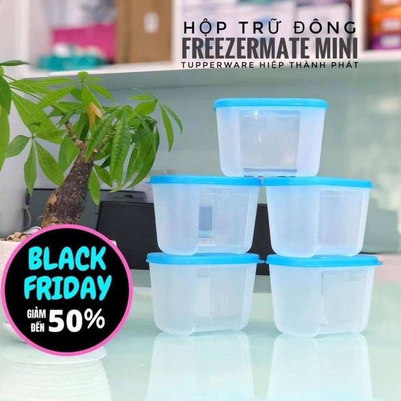 hộp trữ đông 290ml mini freezermate tupperware