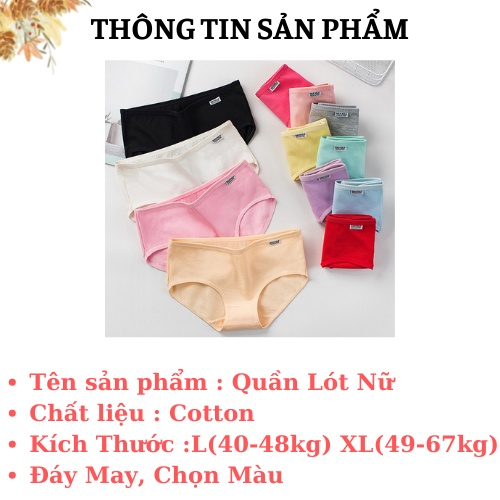 Quần Lót Nữ Cotton - Quần Lót Nữ Cao Cấp Cute AMYBRA L1678