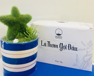 Combo bột nhuộm tóc- dầu gội lá thơm Ogatic