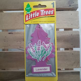 Cây thông thơm little trees mỹ