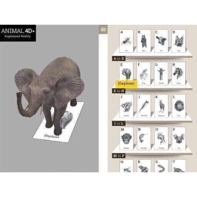 Thẻ Animal 4D