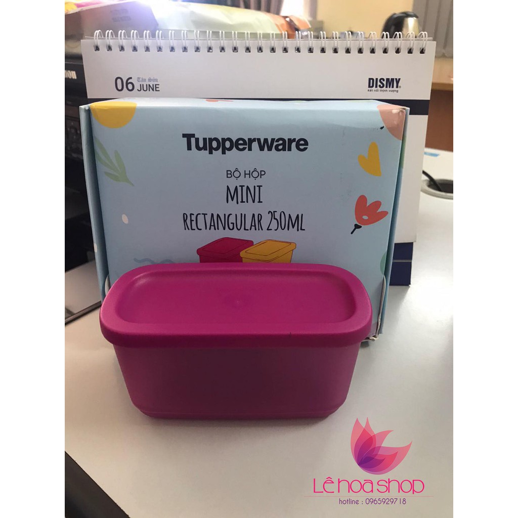 Bộ hộp trữ mát mini 250ml Tupperware