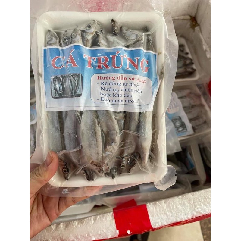 Cá trứng Nauy full 100% trứng ❤️khay 500gr- DTFoods