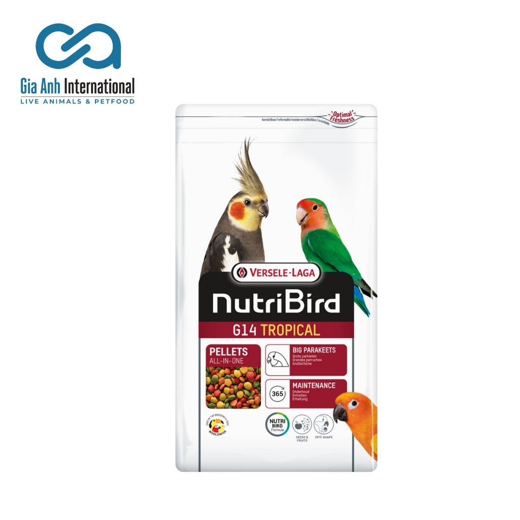 Hỗn Hợp Trái Cây Trộn Cho Vẹt Đuôi Dài Nhiều Màu - Versele-laga Nutri Bird G14 Tropical Bao 10kg Tăng Cường Sức Khoẻ