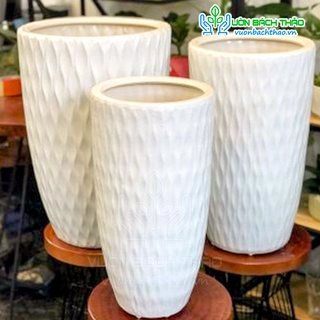 Chậu sứ trồng cây size l