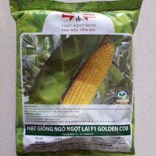 100gram Hạt giống ngô ngọt