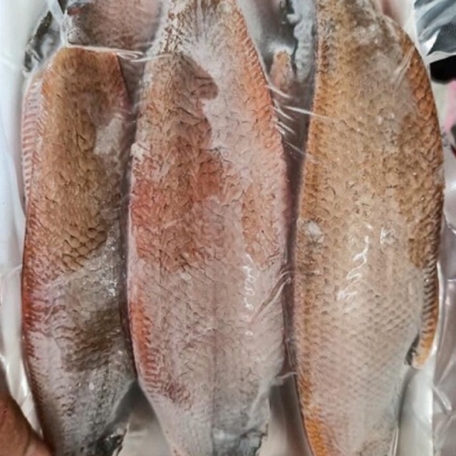 CÁ LƯỠI TRÂU 1 NẮNG(500gr)