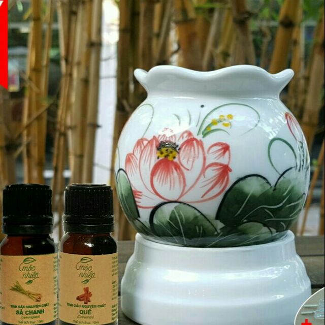 Combo 1 Đèn xông tinh dầu + 2 tinh dầu ( ib chọn mùi)