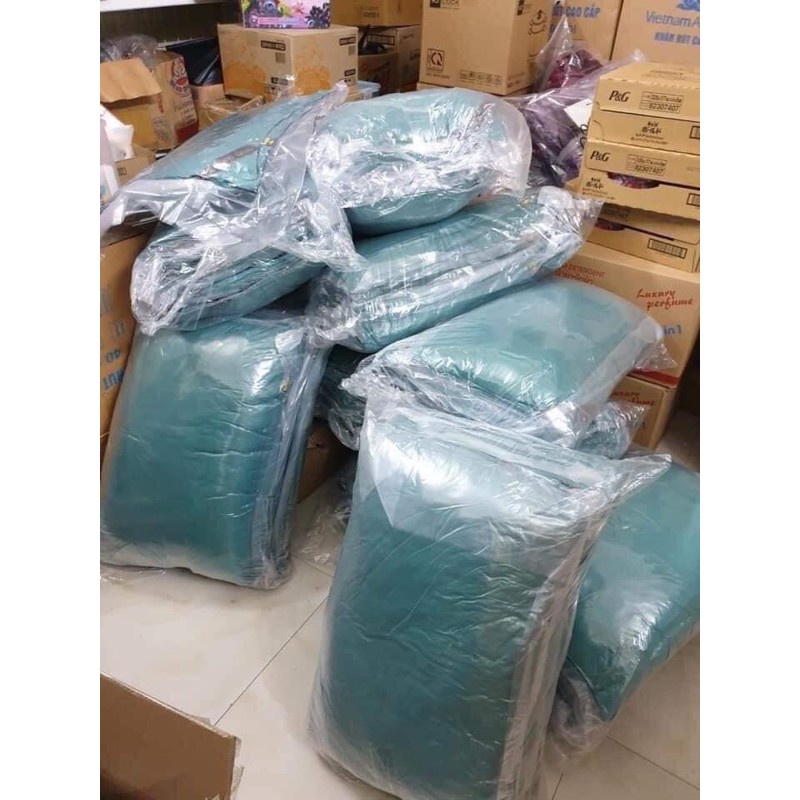 01 cặp Ruột gối Hilton 45cm x 65cm, màu ngẫu nhiên