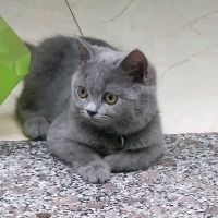 hàng khuyến mại giá rẻ0908