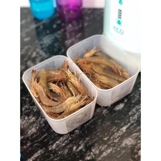 Tupperware Bộ hộp trữ đông Freezermate 650ml
