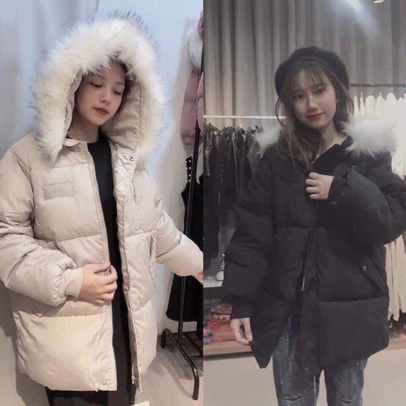 Áo phao béo săn sale giá rẻ | BigBuy360 - bigbuy360.vn