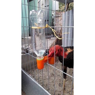 Máng uống tự động nút chai cho chim cho gà.( hàng loại 1)