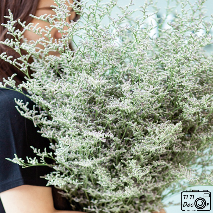 Bó hoa sao tím khô decor chụp ảnh sản phẩm, trang trí nhà cửa, cửa hàng, bó hoa cưới