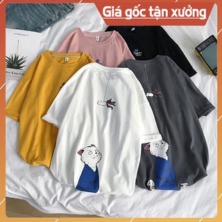 [Video Áo Siêu Hot] Áo thun tay lỡ cotton thoáng mát mèo cá (unisex nam nữ đều mặc được)vụ