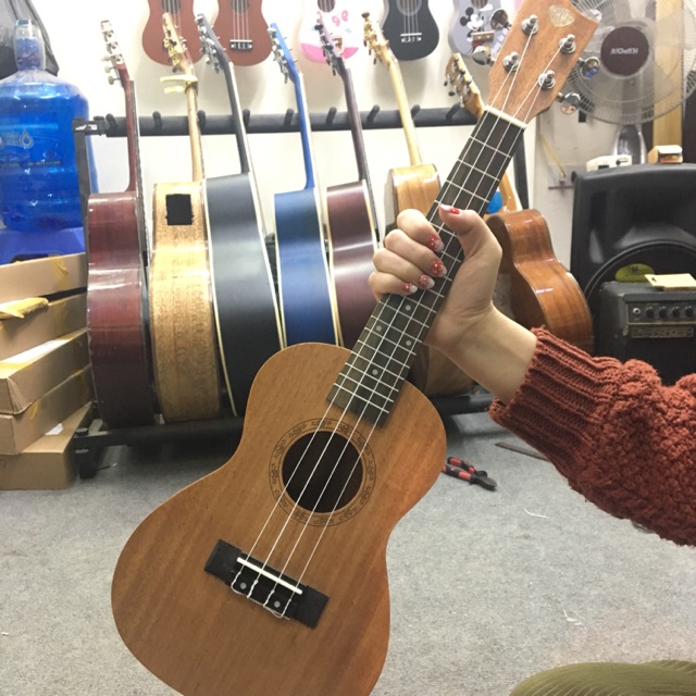 ĐÀN UKULELE CONCERT ĐẸP