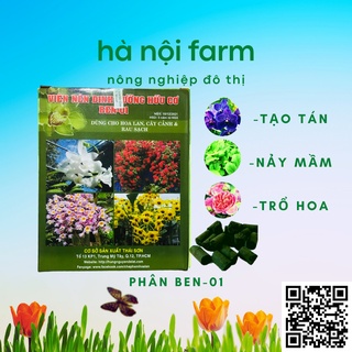 phân ben 01 hùng Nguyễn hộp 1kg