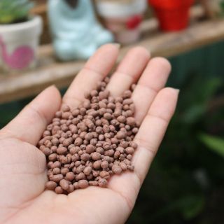 Sỏi nhẹ - Hạt Đất nung - Đất nung popper Thái Lan