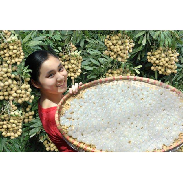 Long nhãn sấy khô Hưng Yên hàng loại 1_100gr thơm ngon bổ dưỡng