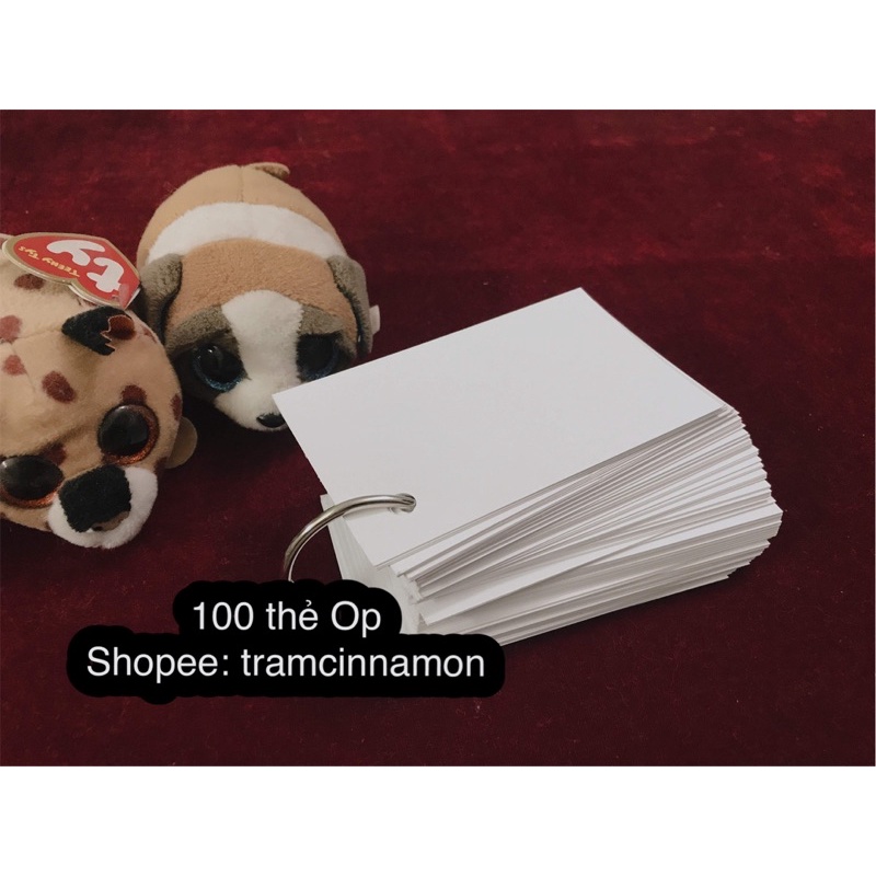 100 thẻ flashcard 5x8cm học từ vựng