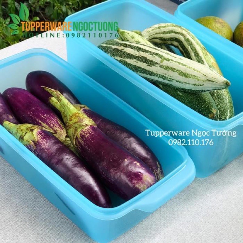 Tupperware - hộp trữ mát Stak N Stor Gen II