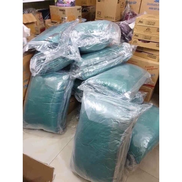 Thanh lý Xả Kho 1 Cặp Gối Hilton Loại 1,3kg( Màu Ngẫu Nhiên)