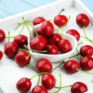 Trái cherry đỏ phụ kiện chụp ảnh sản phẩm