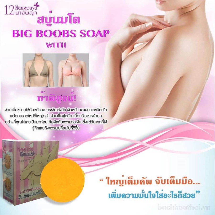 Cục xà phòng nở ņgực 12 Nangpaya Beauty Breast Soap Thái Lan | BigBuy360 - bigbuy360.vn