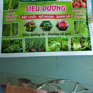 Phân bón siêu dưỡng giúp bật chồi, nảy ngọn, xanh lá