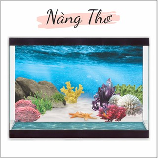 Decal dán Hồ Cá 3D siêu đẹp_GIÁ RẺ 13