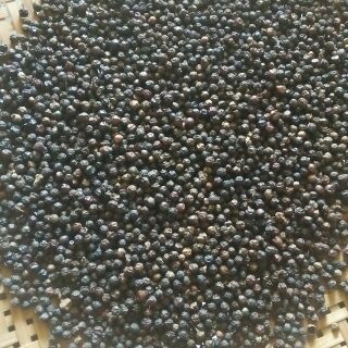 Tiêu đen đak lak loại xịn. 200/1kg