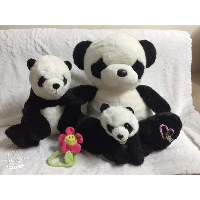 Set gấu bảo Nhi