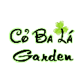 Cỏ Ba Lá Garden