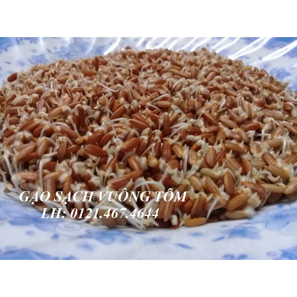Gạo lứt đỏ Nàng Keo - 5kg (Phơi nắng) | BigBuy360 - bigbuy360.vn